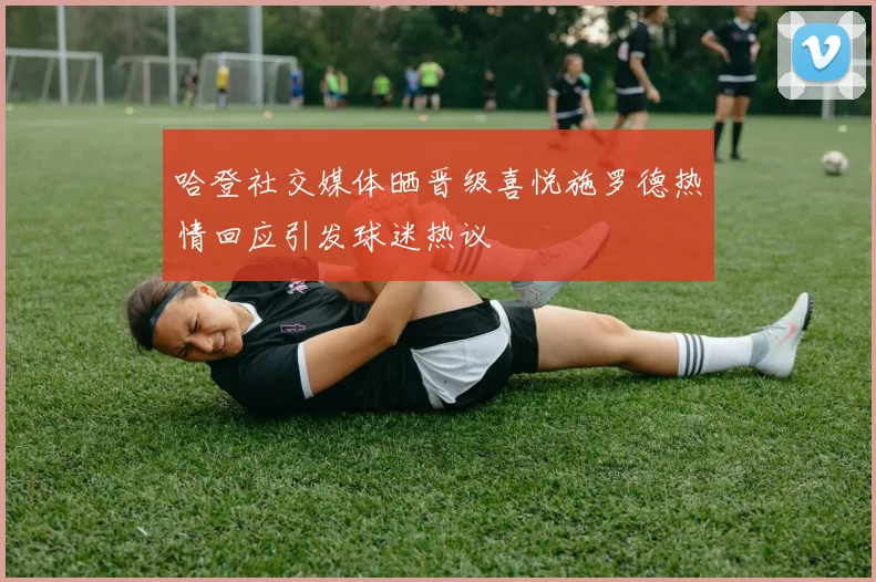 哈登社交媒体晒晋级喜悦施罗德热情回应引发球迷热议