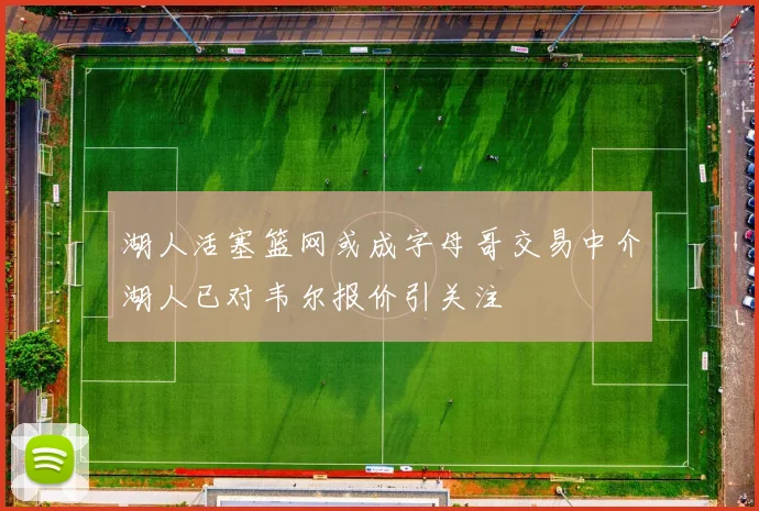 湖人活塞篮网或成字母哥交易中介湖人已对韦尔报价引关注