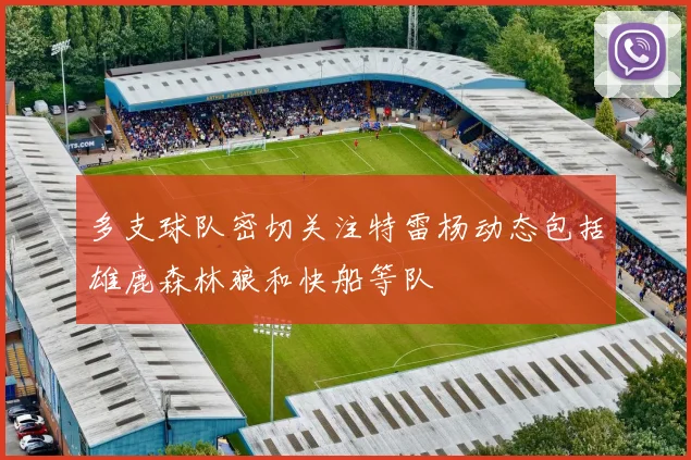 多支球队密切关注特雷杨动态包括雄鹿森林狼和快船等队